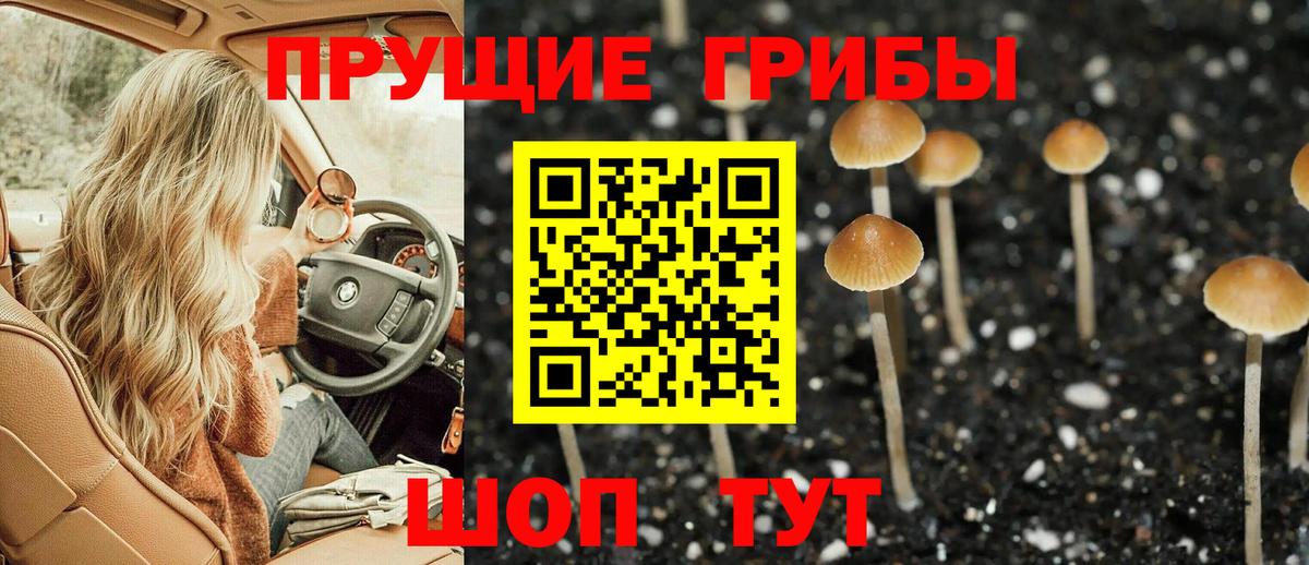 Междуреченск  Псилоцибиновые грибы Magic Shrooms  Вход с VPN 