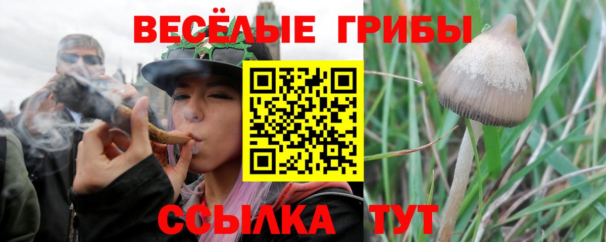 Галлюциногенные грибы ЛСД Междуреченск